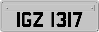 IGZ1317