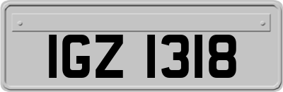 IGZ1318