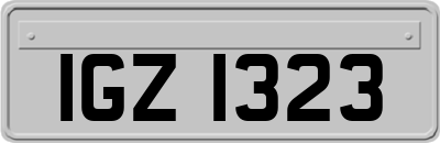 IGZ1323