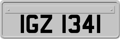 IGZ1341