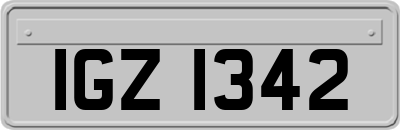 IGZ1342