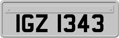 IGZ1343