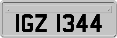 IGZ1344