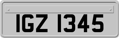 IGZ1345