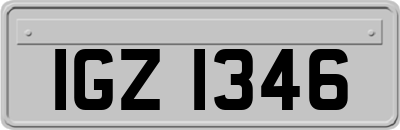 IGZ1346