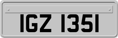 IGZ1351