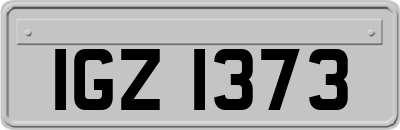 IGZ1373