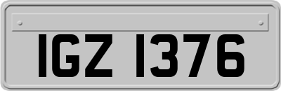 IGZ1376