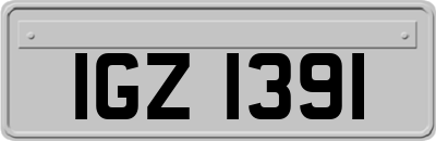 IGZ1391
