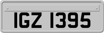 IGZ1395