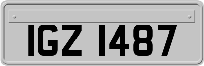 IGZ1487