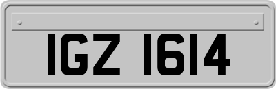 IGZ1614