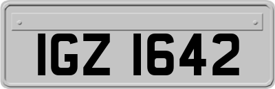 IGZ1642