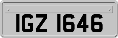 IGZ1646