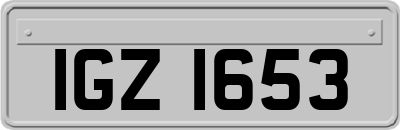 IGZ1653
