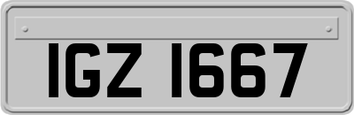 IGZ1667