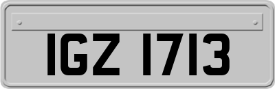 IGZ1713