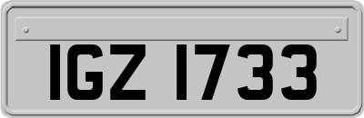 IGZ1733