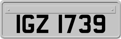 IGZ1739