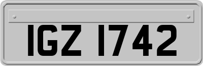 IGZ1742