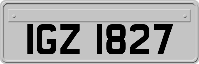 IGZ1827