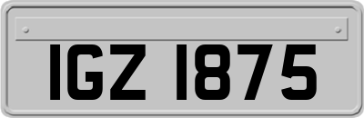 IGZ1875