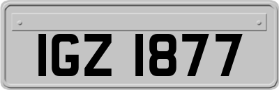 IGZ1877