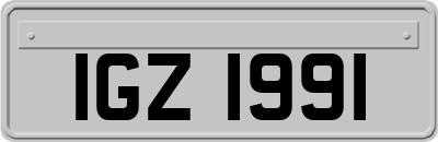 IGZ1991