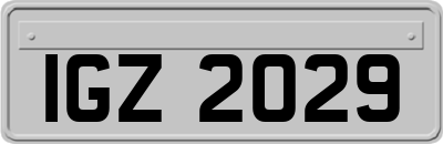 IGZ2029