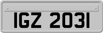 IGZ2031