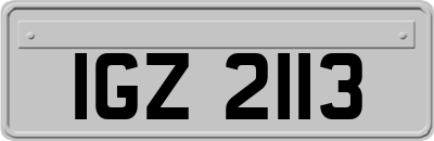 IGZ2113