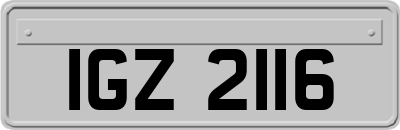 IGZ2116