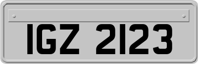 IGZ2123
