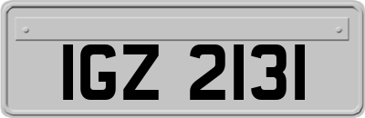 IGZ2131