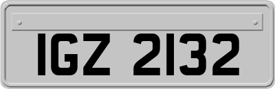 IGZ2132