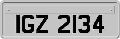 IGZ2134