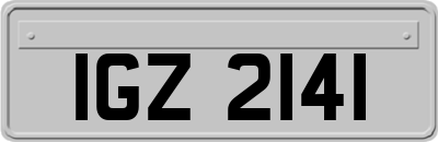 IGZ2141