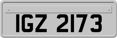 IGZ2173