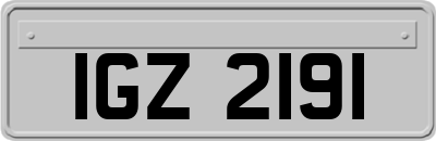 IGZ2191