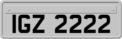 IGZ2222