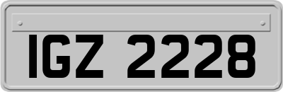 IGZ2228