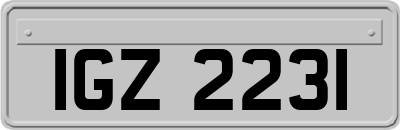 IGZ2231