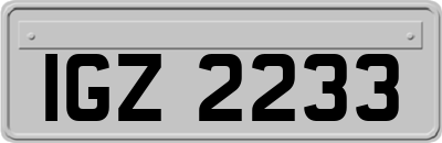 IGZ2233