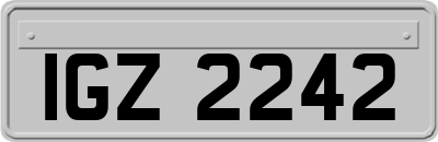 IGZ2242