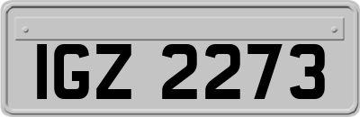IGZ2273