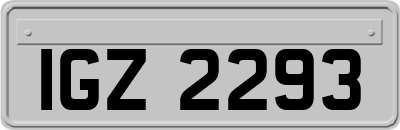 IGZ2293