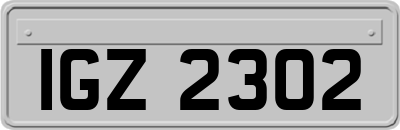IGZ2302