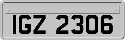 IGZ2306