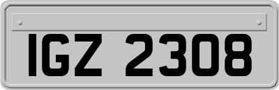 IGZ2308