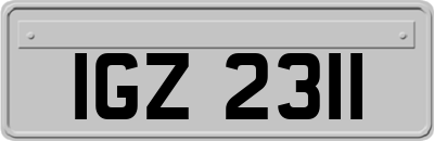 IGZ2311